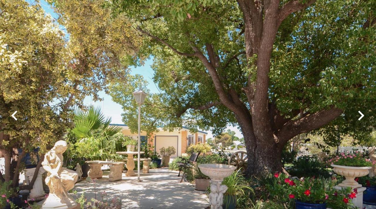Sturt Motel בלראנלד מראה חיצוני תמונה